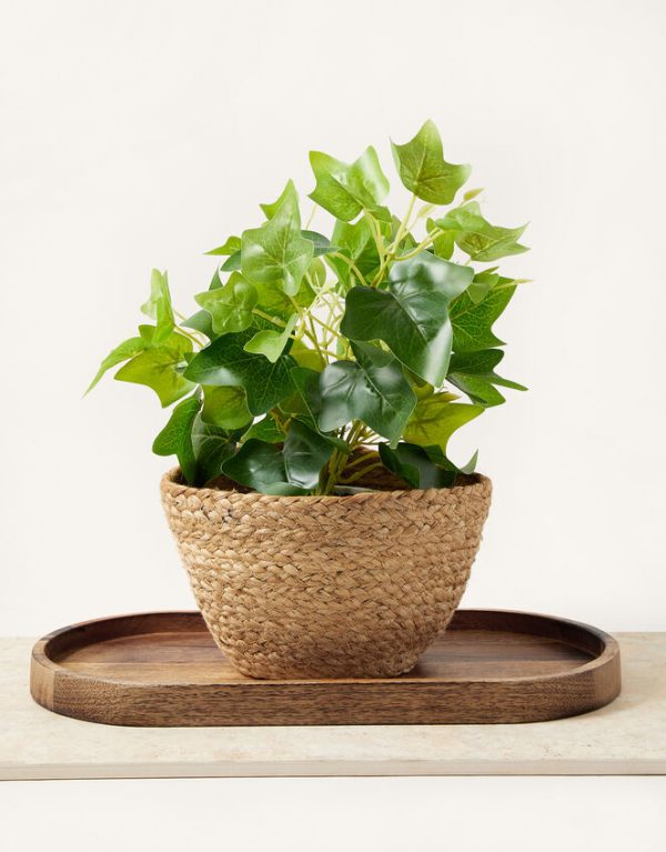 Monsoon Jute Planter