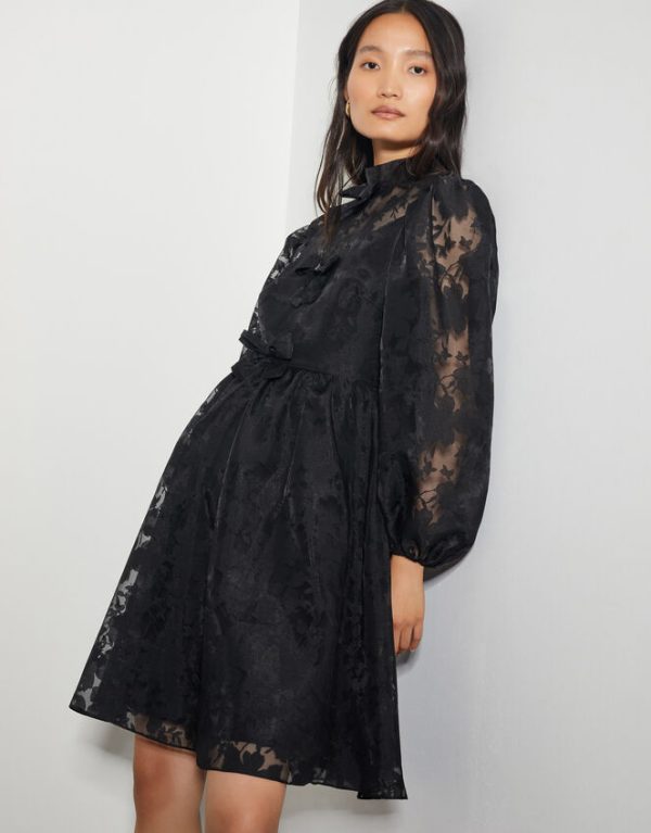 Monsoon Alba Floral Organza Mini Dress Black